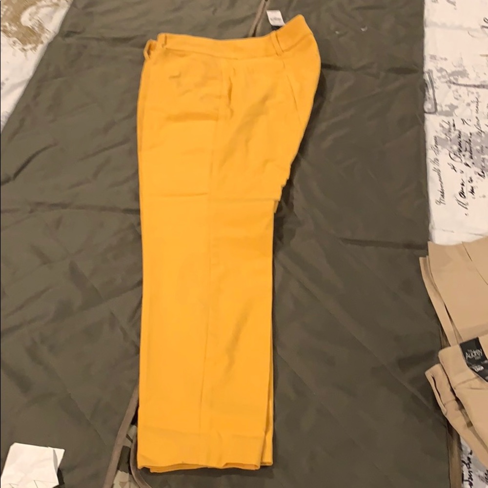 Pants
